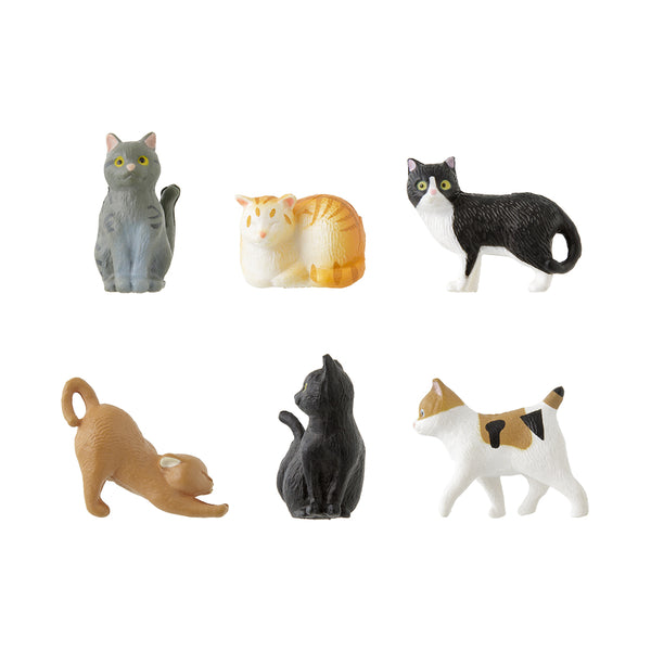 Mini Magnet 6pcs Cat C